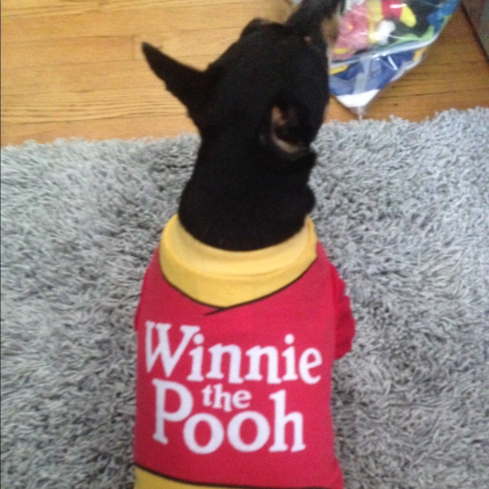 Disney Winnie the Pooh dog costume like new